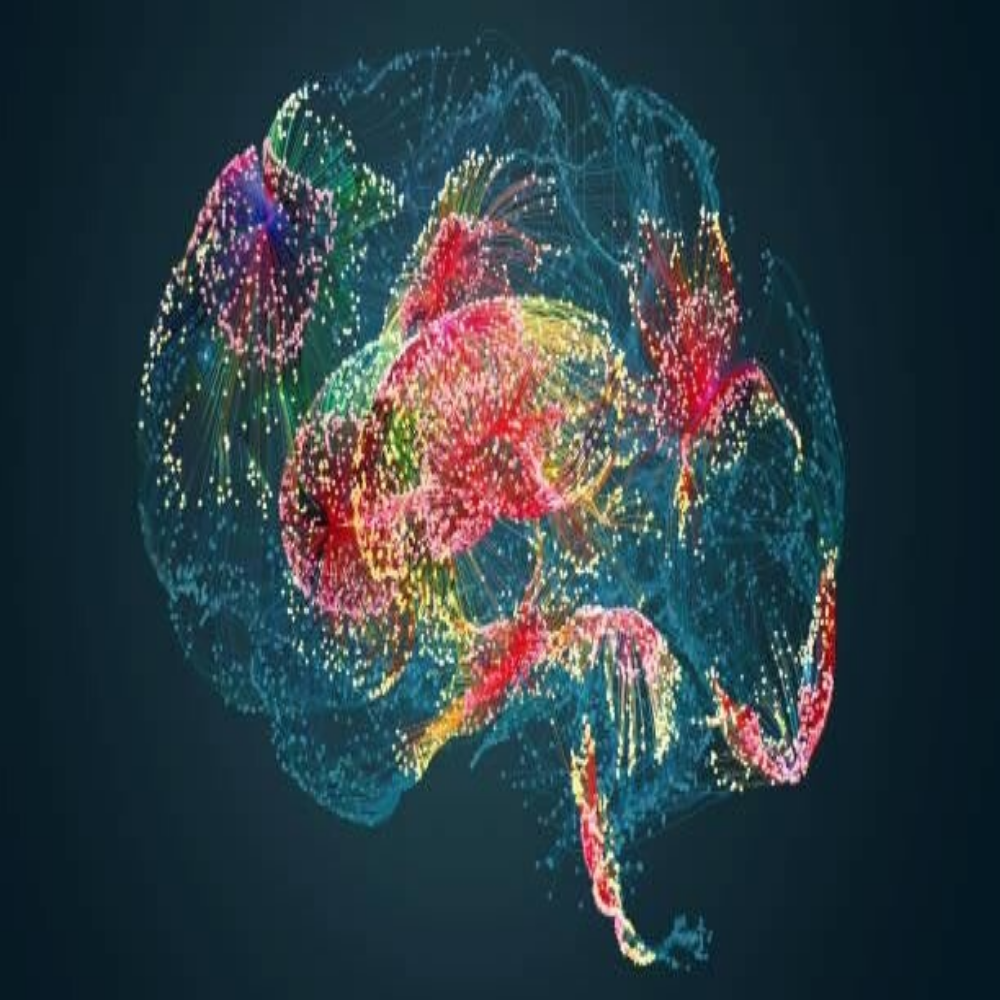 Dreidimensionale Darstellung eines menschlichen Gehirns mit leuchtenden, farbigen neuronalen Verbindungen, im Kontext mit MediumSciences - Institut.