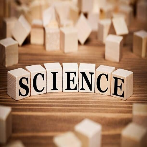 Acht ausgeschnittene Figuren aus blauen Papier halten sich an den Händen und stehen in einer Reihe, Kontext Blog MediumSciences - Institut.