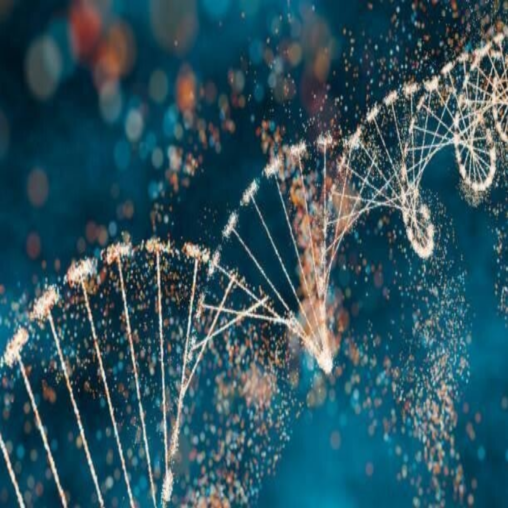 Acht stilisierte, blaue Papiersilhouetten von Menschen, die sich an den Händen halten, auf einer glatten Oberfläche, Blog MediumSciences - Institut