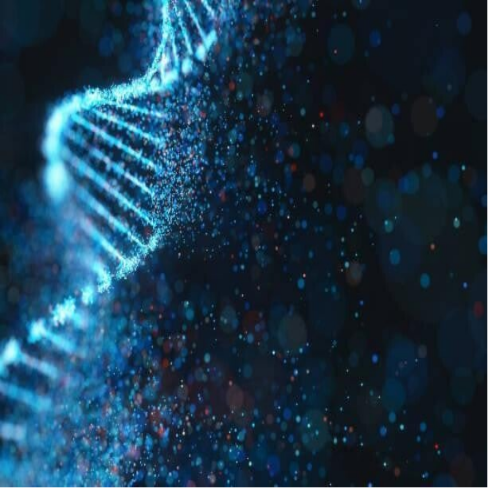 Schwarztafel mit einer gezeichneten Kopfumriss und einem Holzblock mit einer Glühbirne darüber. Der Kopf zeigt nach rechts, Kontext Blog MediumSciences - Institut.