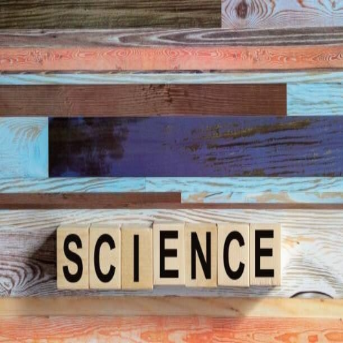 Acht stilisierte, blaue Papiersilhouetten von Menschen, die sich an den Händen halten, auf einer glatten Oberfläche, Blog MediumSciences - Institut