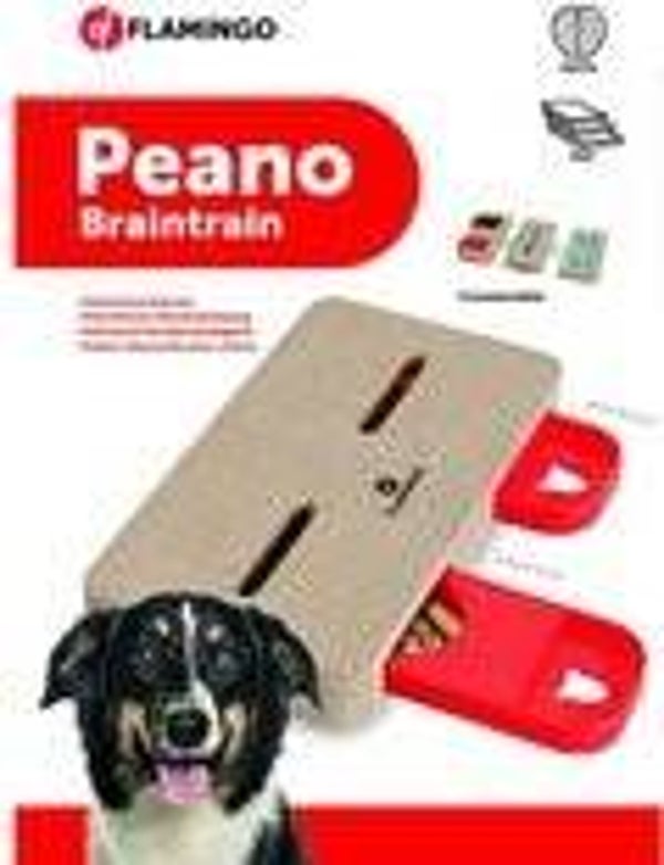 Spel nummer 7  Peano Braintrain