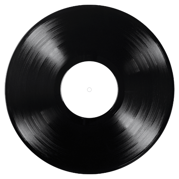 10 x VINYLES (12" / 30 cm)