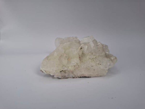 Apofylliet