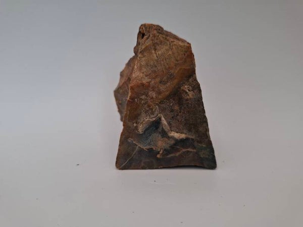 Versteend hout (ruw)