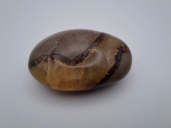 Septarie zaksteen