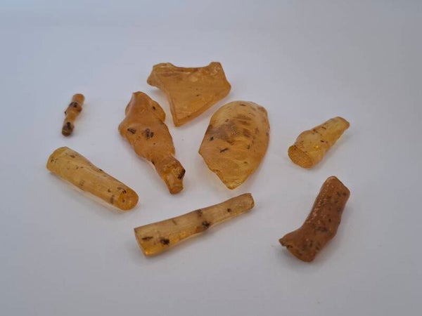 Copal (Barnsteen)