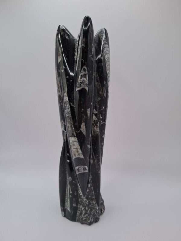 Orthoceras sculptuur