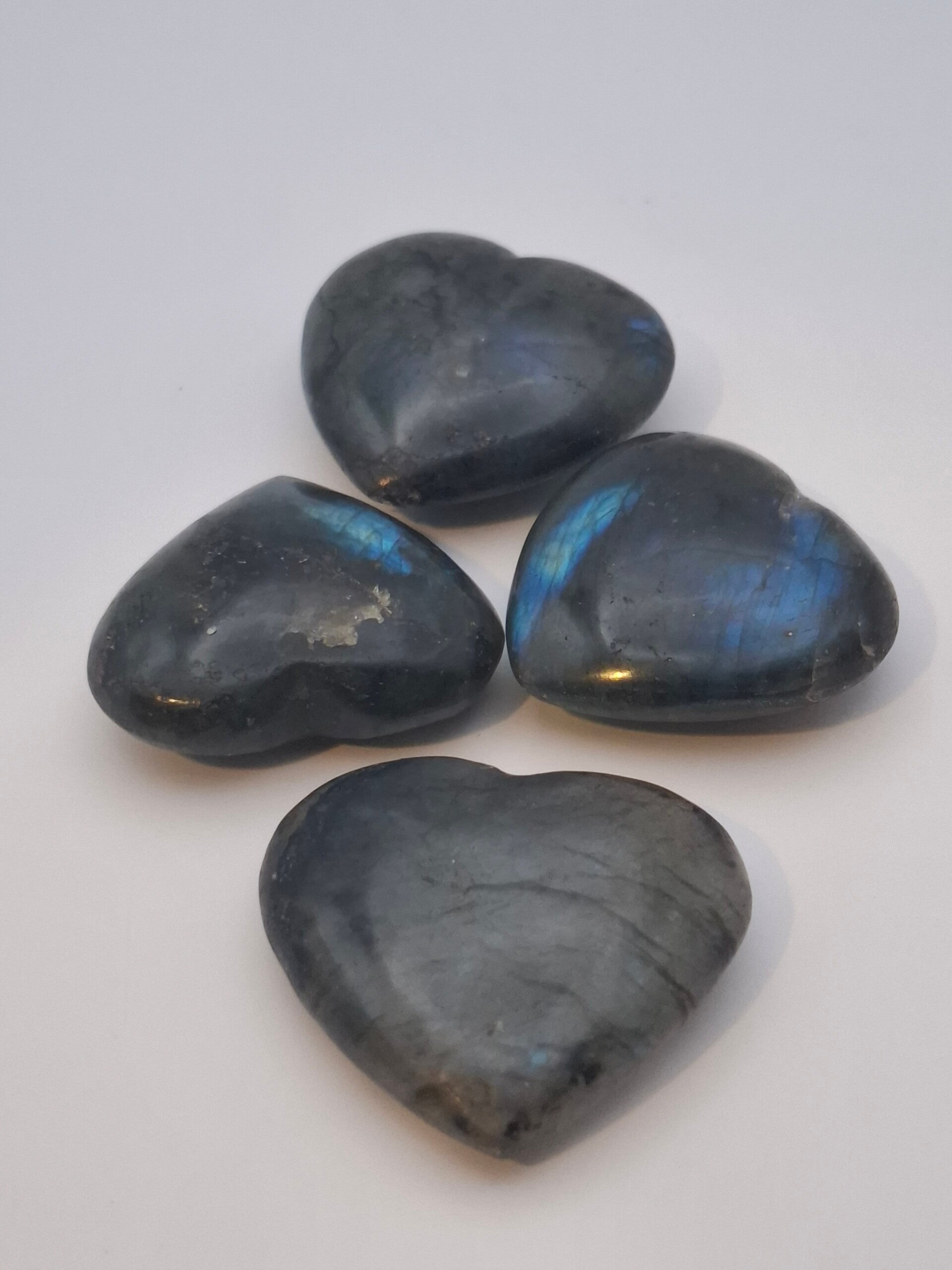 Labradoriet hart (maat S)