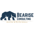 Bearise consulting – Conseil en organisation et performance