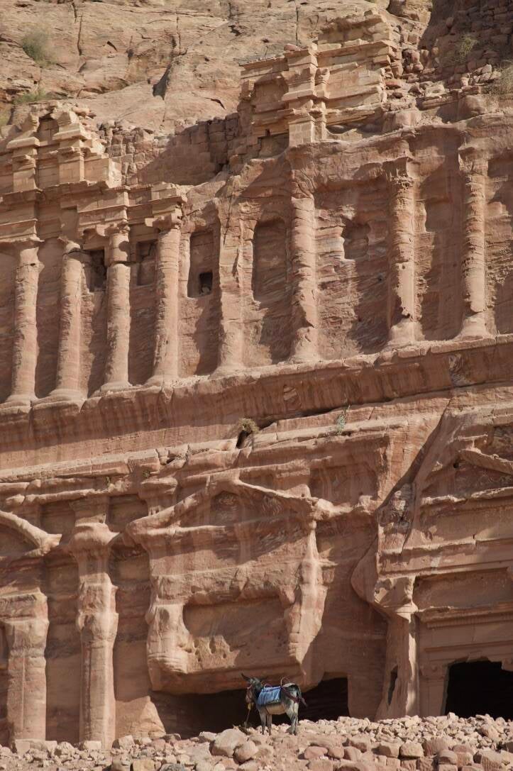 2021-jordanie118-standard.jpg
