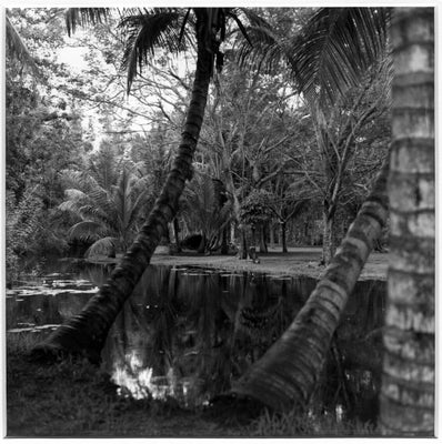 cuba-023-standard.jpg