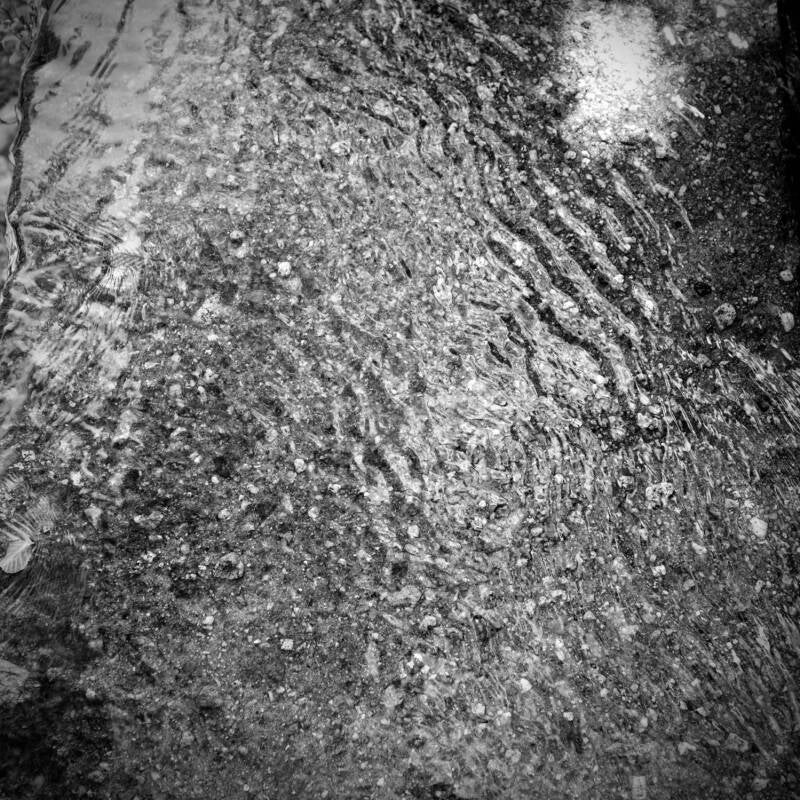 f614e014-c07f-4b42-9d11-e47e7d0e62a0-11406-000009ffd60a59f7-standard.jpg
