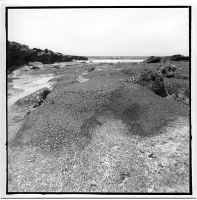 lanza-005-standard.jpg