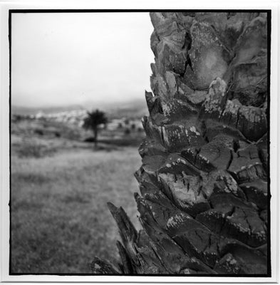 lanza-007-standard.jpg