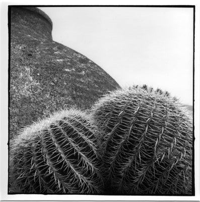 lanza-011-standard.jpg