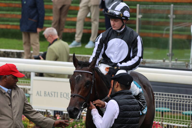 565a0251-standard-cq2q06.jpg