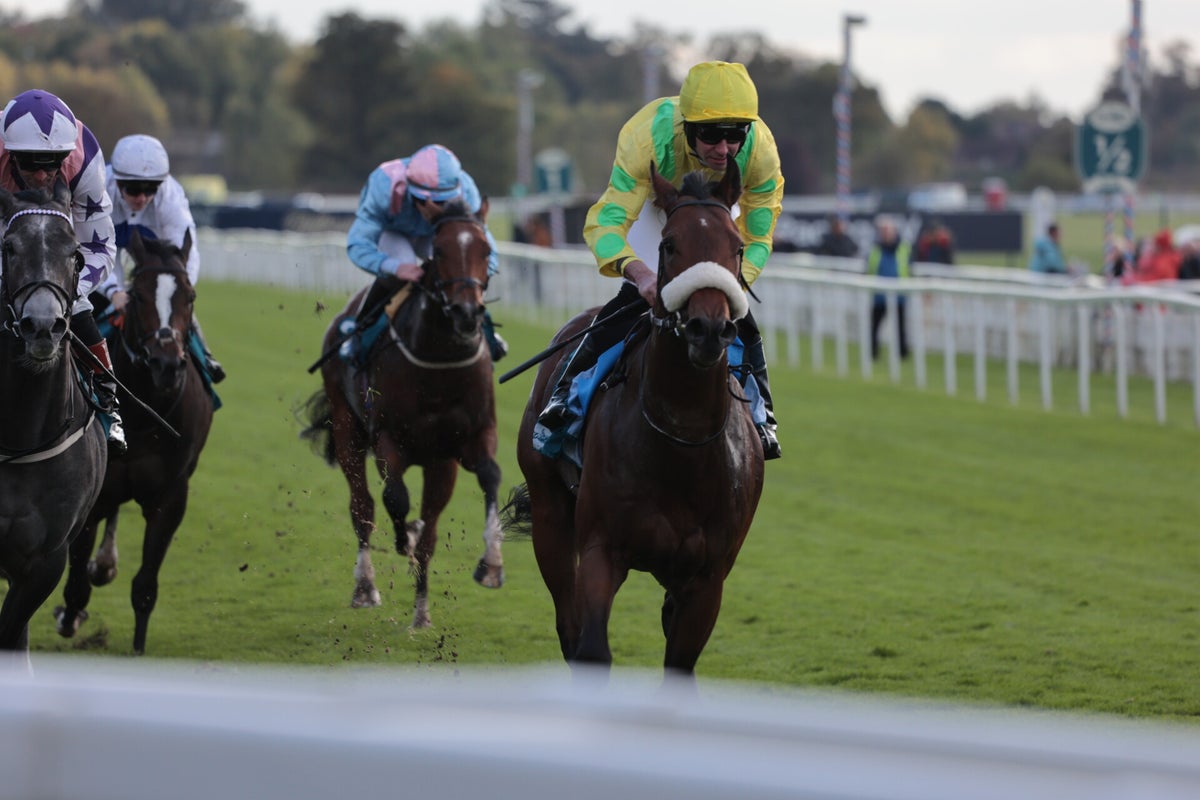 York Races, October 2024 / York Races, 2024 Season / 2024 Galleries ...