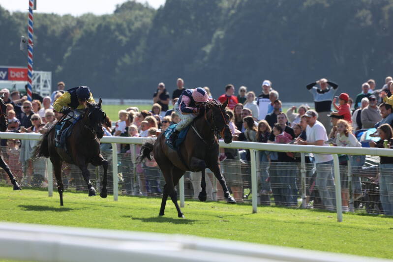 565a0693-standard-9q1y1p.jpg