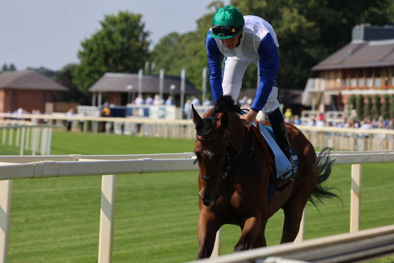 565a0991-standard-8qciez.jpg
