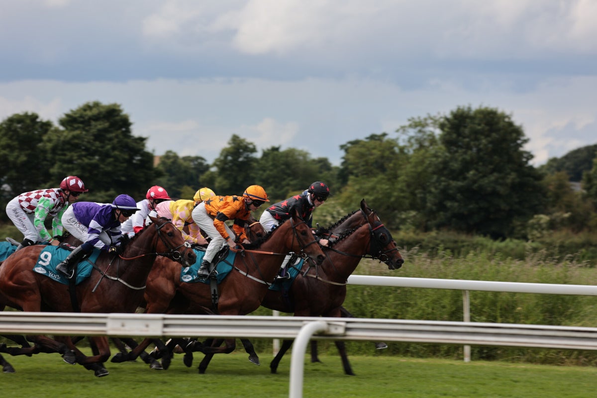 York Races, June 2024 / York Races, 2024 Season / 2024 Galleries / 2023 ...