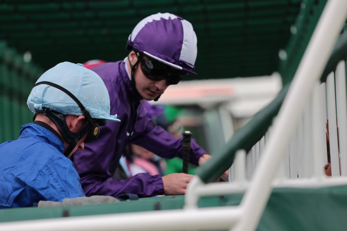 York Races, June 2024 / York Races, 2024 Season / 2024 Galleries / 2023 ...