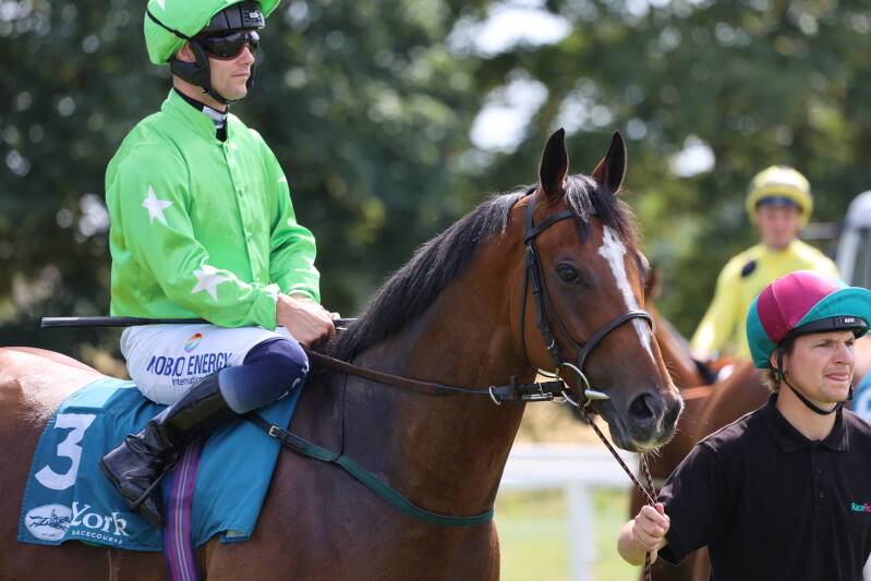 565a1883-standard-s1fhwc.jpg