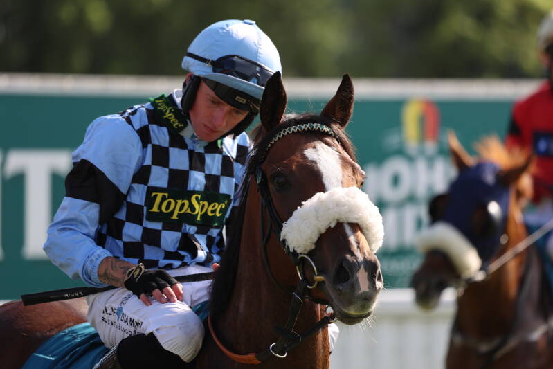 565a2549-standard-sdhvqo.jpg