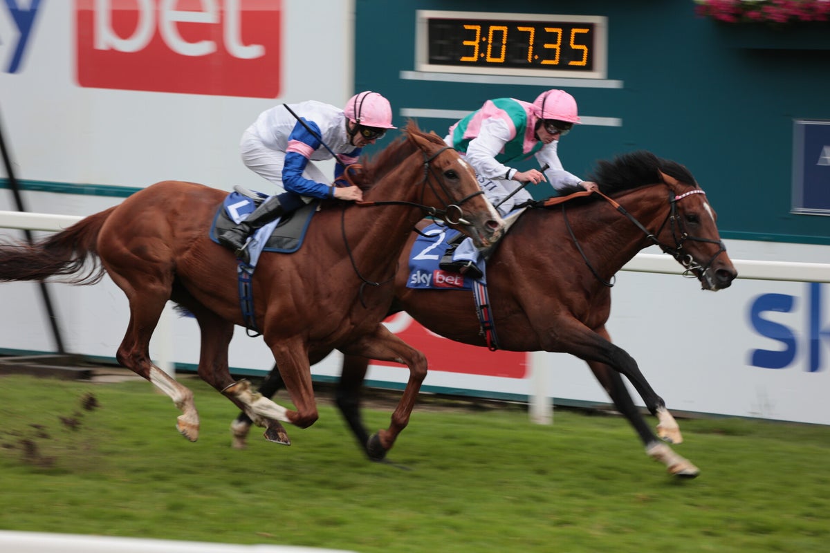 York Races, June 2024 / York Races, 2024 Season / 2024 Galleries / 2023 ...