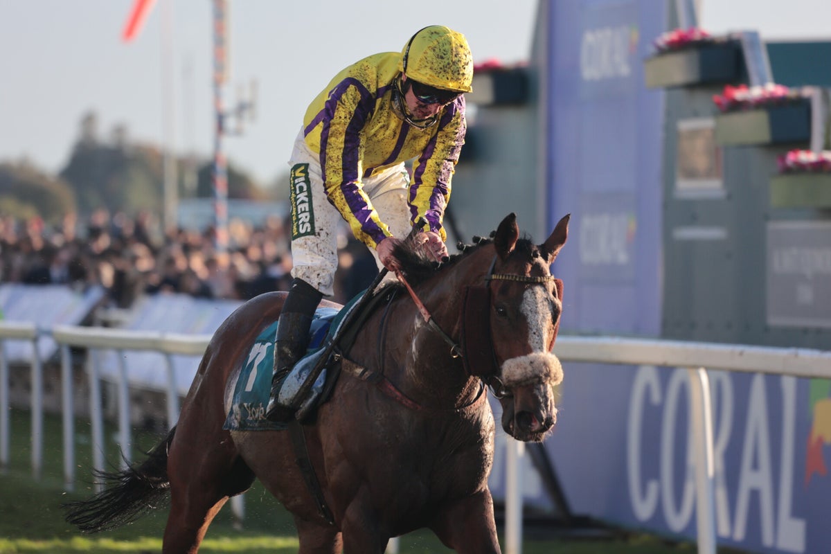 York Races October York Races, October 2024 / York Races, 2024 Season / 2024 Galleries ...