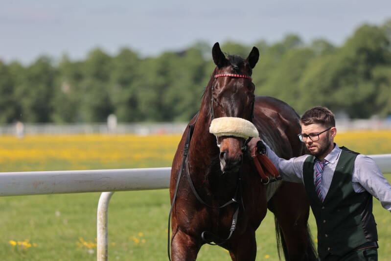 565a4129-standard-9vnz9x.jpg