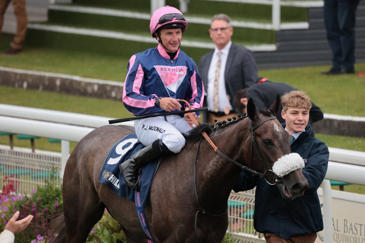 October Meet York Races York Races, July 2024 / York Races, 2024 Season / 2024 Galleries / 2023 ...