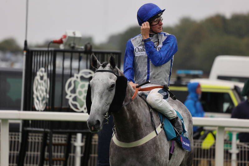 565a6705-standard-2qb5md.jpg