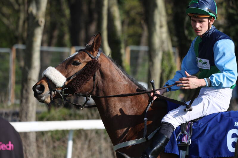 565a7249-standard-0bqjwi.jpg