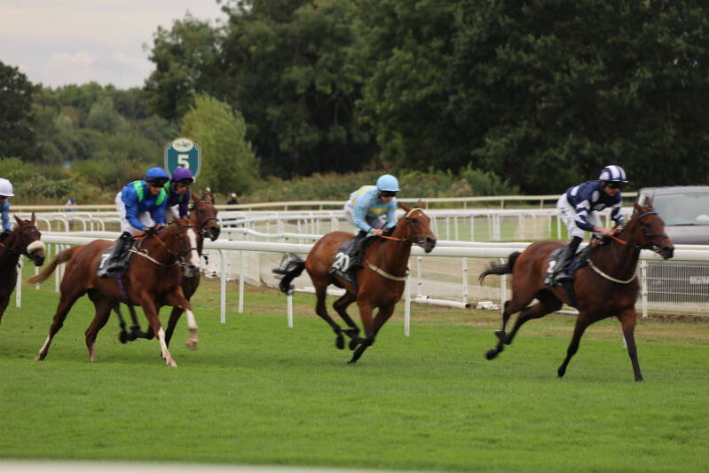 565a7316-standard-wehgxc.jpg