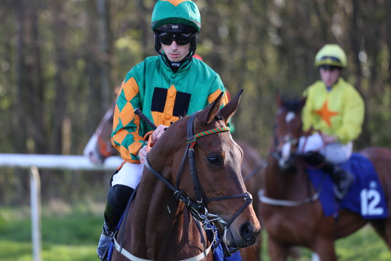 565a7361-standard-q29j4s.jpg