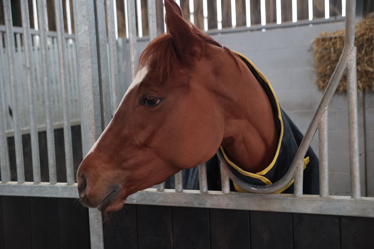 Eboracum Racing Stables Visit - Craig Lidster Racing Club / 2024 Stable ...