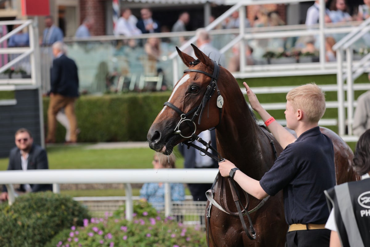 York Races, July Music 2024 / York Races, 2024 Season / 2024 Galleries ...