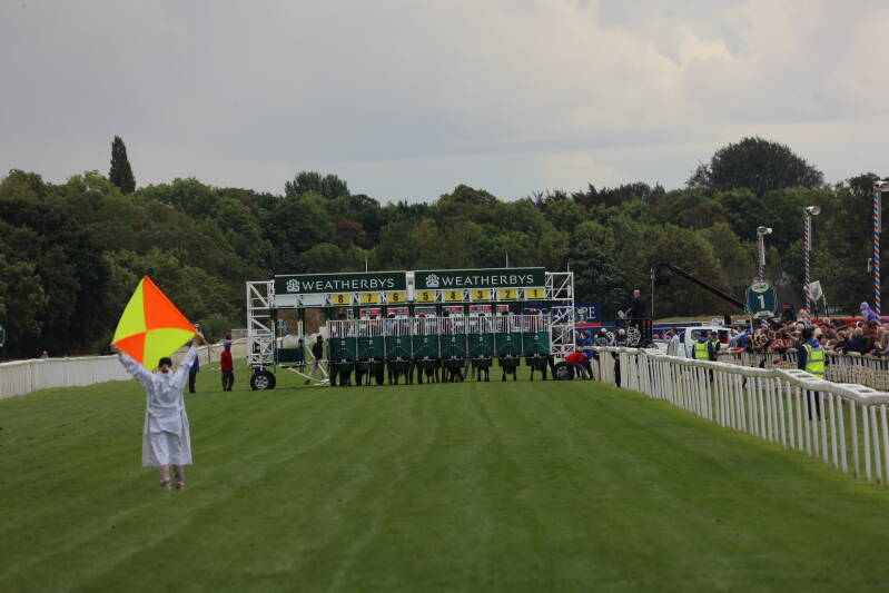 565a7681-standard-e3tjwt.jpg
