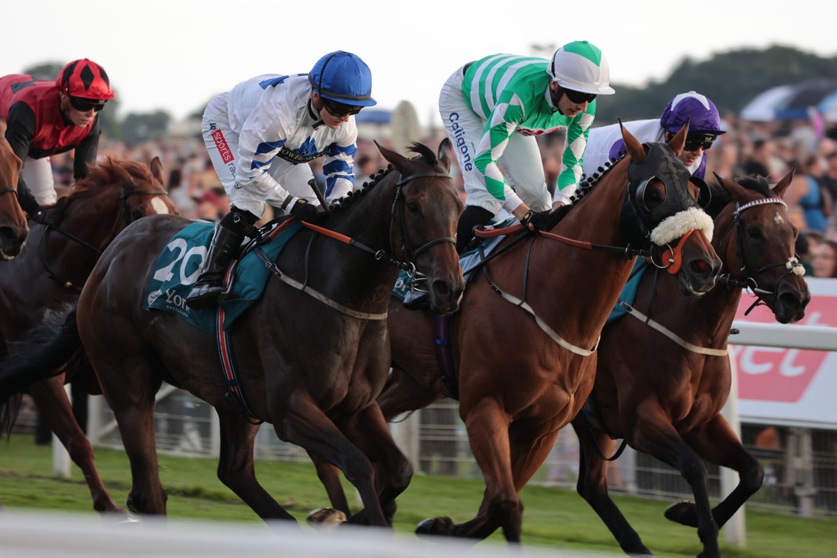 York Races, July Music 2024 / York Races, 2024 Season / 2024 Galleries ...