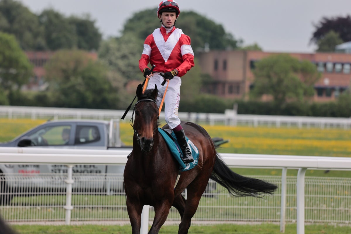 York Races, May 2024 / York Races, 2024 Season / 2024 Galleries / 2023 ...
