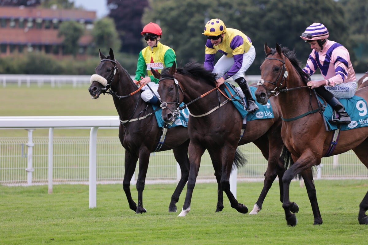 York Races, July Music 2024 / York Races, 2024 Season / 2024 Galleries ...