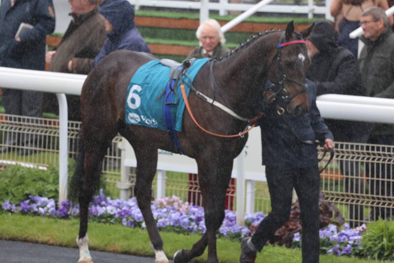 565a9417-standard-6qngqp.jpg