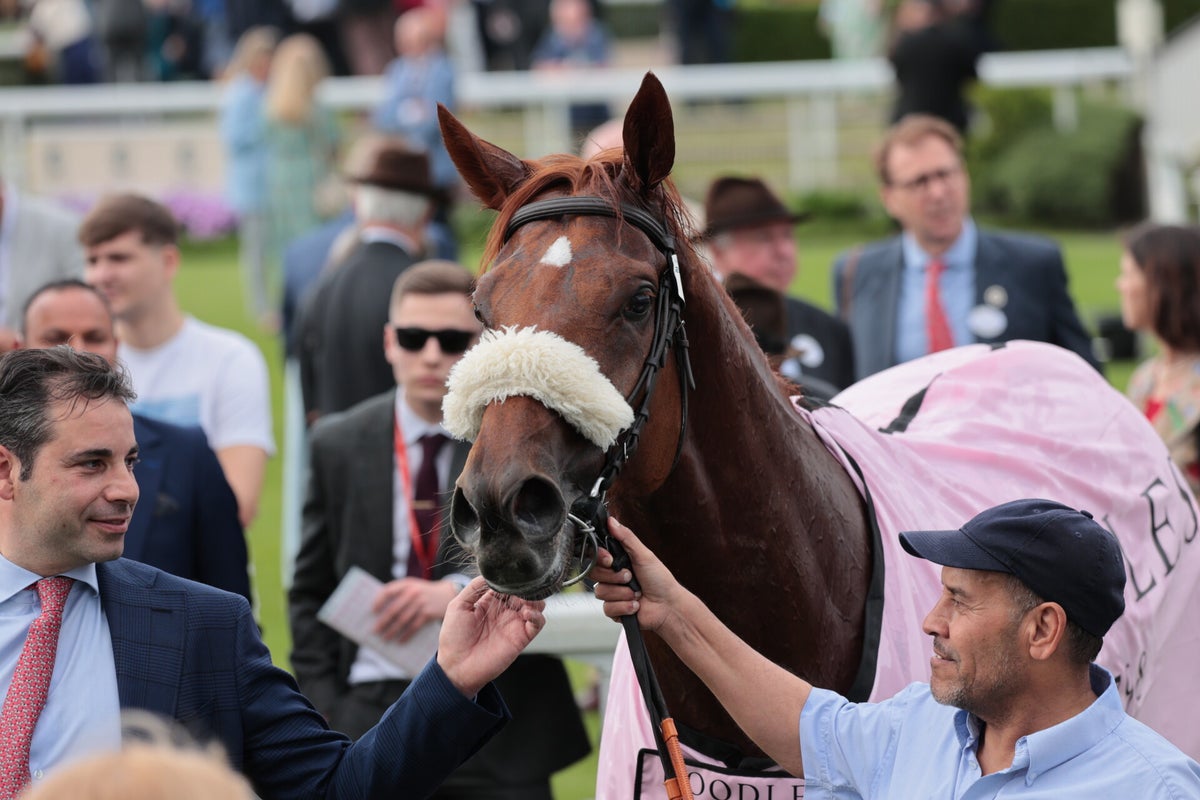 York Races, May 2024 / York Races, 2024 Season / 2024 Galleries / 2023 ...