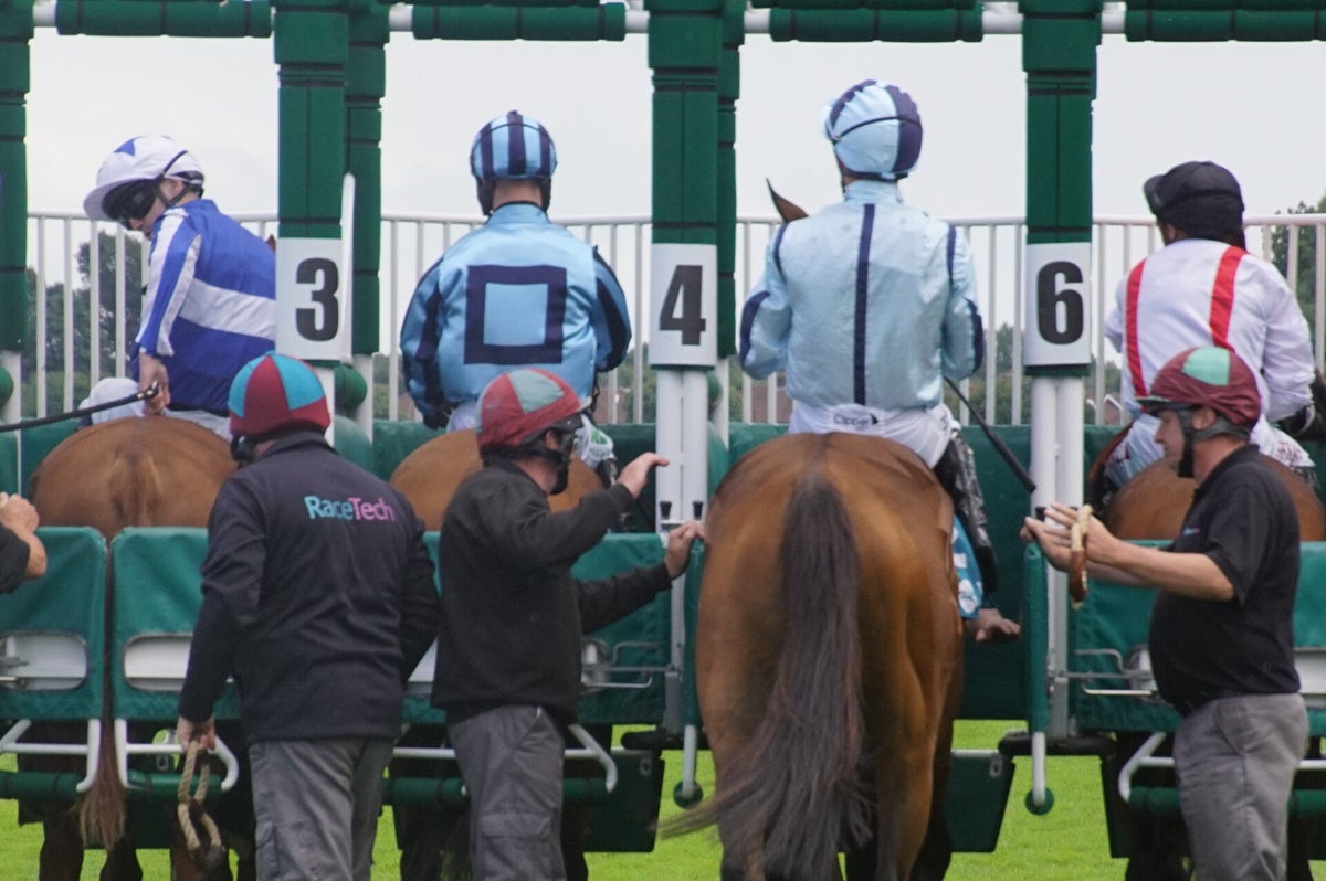 York Races, July 2023 / York Races 2023 / 2023 Galleries / Archive ...