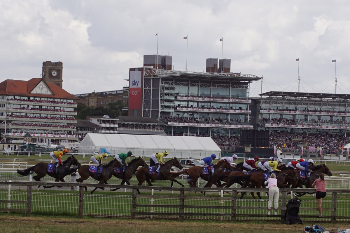 Ebor Festival 2022 / York Races, 2022 Season. / Archive | Rory Fraser ...