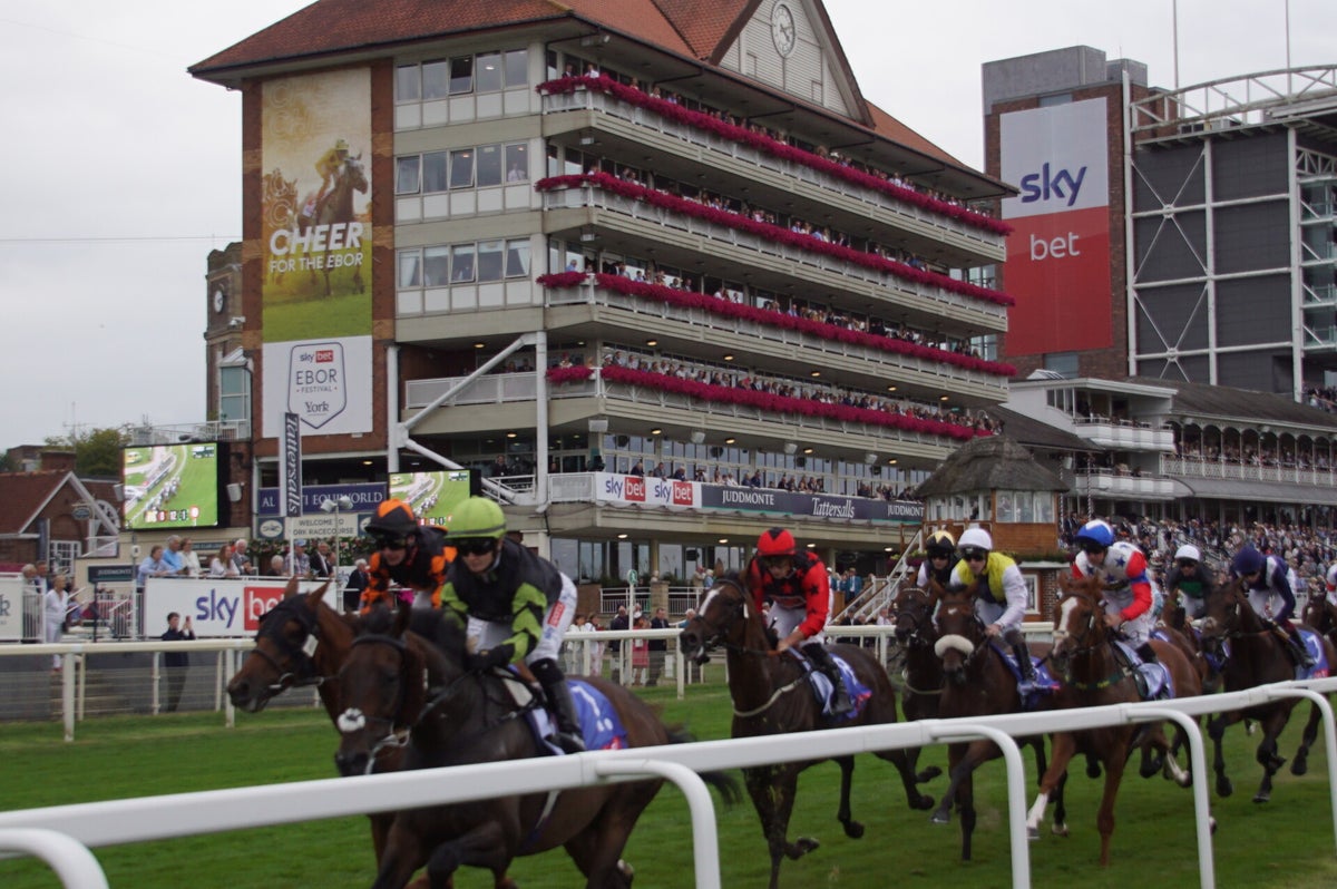 October Meet York Races York Races, Ebor Festival 2023 / York Races 2023 / 2023 Galleries ...