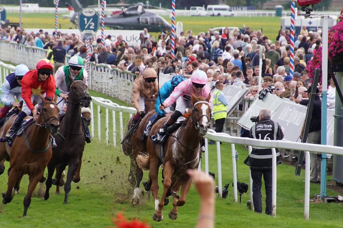 October Meet York Races York Races, Ebor Festival 2023 / York Races 2023 / 2023 Galleries ...