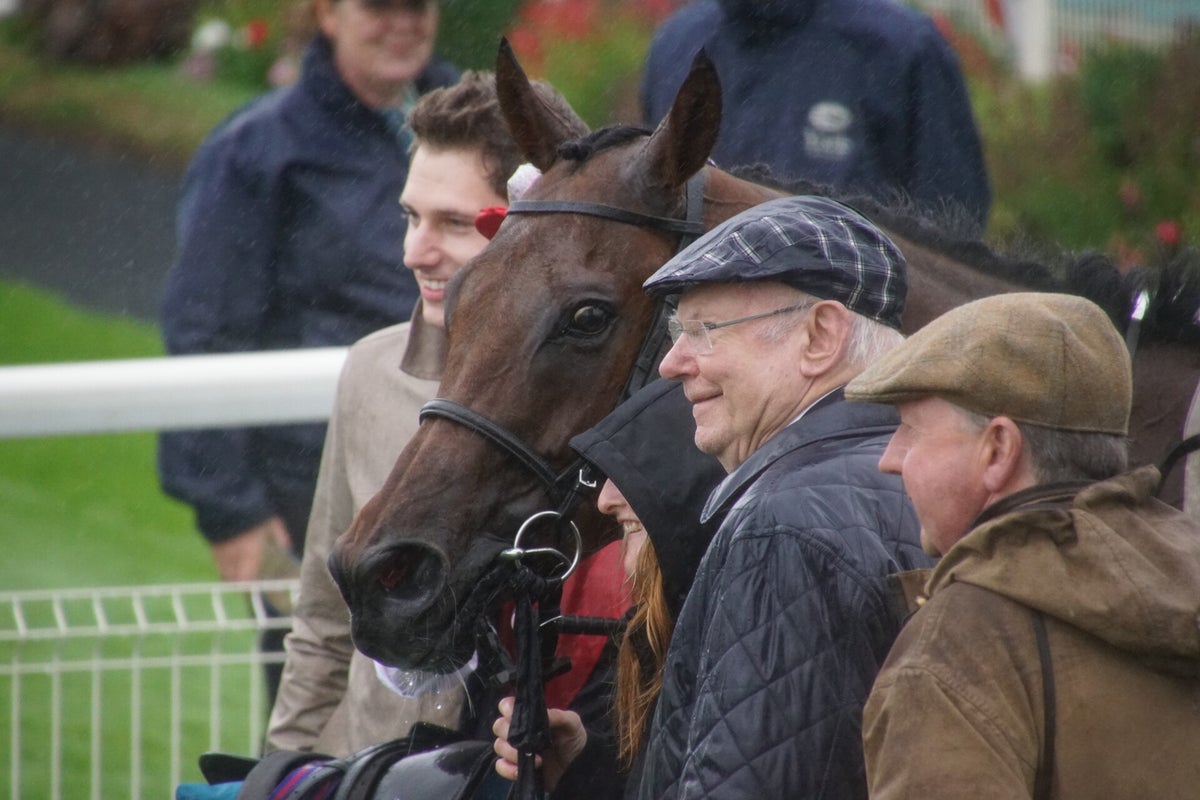 York Races, July 2023 / York Races 2023 / 2023 Galleries / Archive ...
