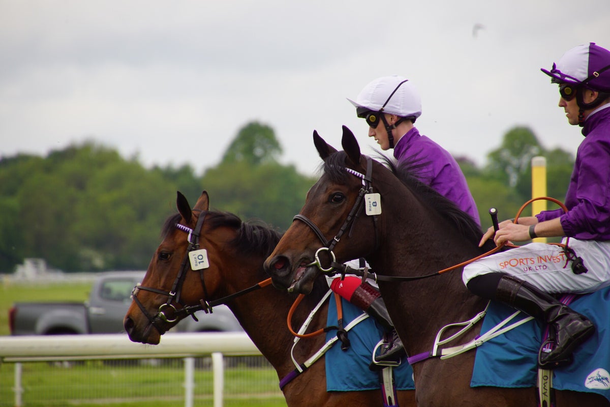 York Races, May 2023 / York Races 2023 / 2023 Galleries / Archive ...